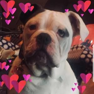 Meet your Posher, Terry